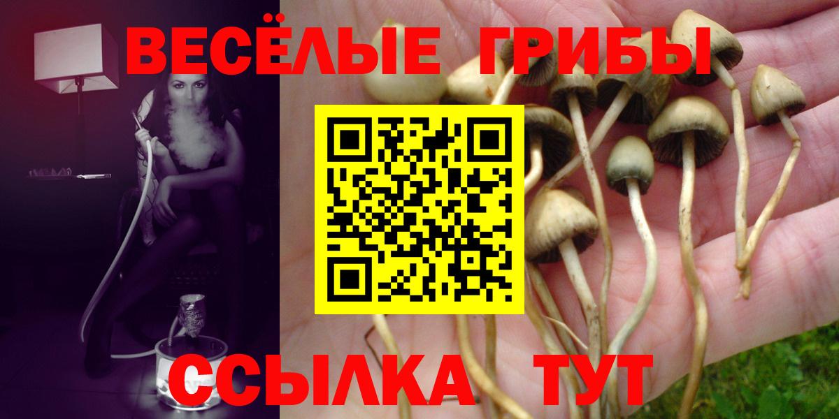 Арсеньев  Псилоцибиновые грибы мицелий  Вход с VPN 